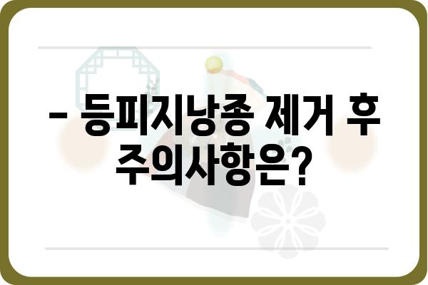 등피지낭종 제거, 안전하고 효과적인 방법 알아보기 | 등피지낭종, 제거, 치료, 주의사항