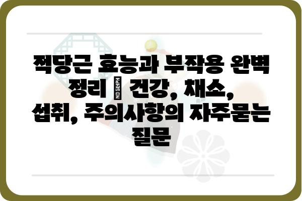 적당근 효능과 부작용 완벽 정리 | 건강, 채소, 섭취, 주의사항