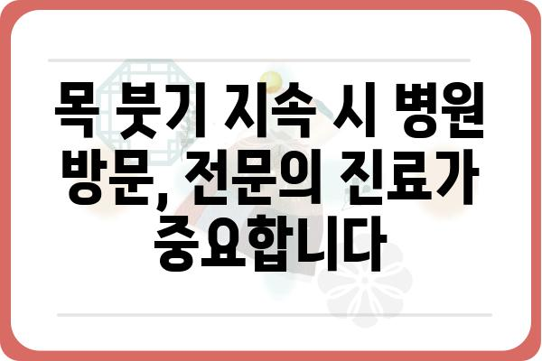 목 부었을 때, 붓기 빨리 가라앉히는 방법 5가지 | 목 부종, 림프절 부종, 붓기 완화