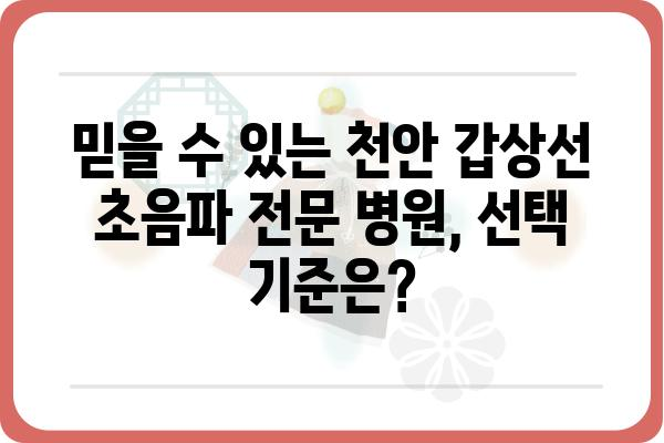 천안 갑상선 초음파 전문 병원 찾기| 정확한 진단과 치료를 위한 가이드 | 갑상선, 초음파 검사, 천안 병원, 전문의