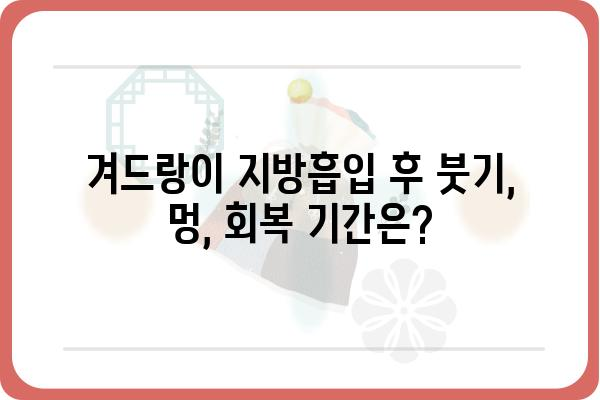 겨드랑이 지방흡입 후기 & 솔직 후기 |  붓기, 멍, 회복 기간, 비용, 후유증, 추천 병원, 주의사항