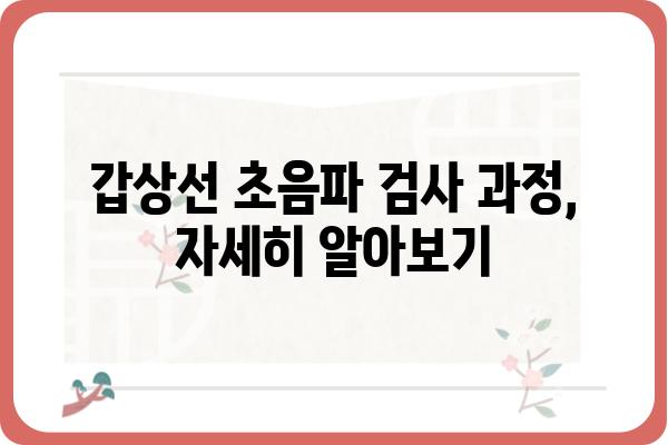 갑상선 초음파 비용 알아보기 | 지역별 병원 정보, 가격 비교, 검사 과정