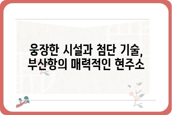 부산항의 매력적인 항구 시설과 역사 | 부산항, 항구, 관광, 역사, 문화