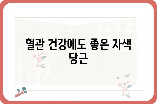 자색 당근의 놀라운 효능 7가지 | 면역력 강화, 항산화, 시력 보호, 혈관 건강