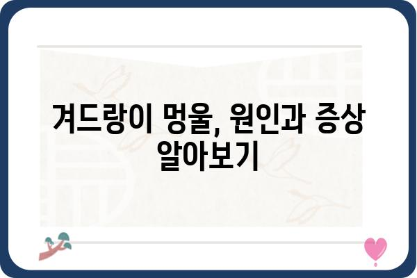 겨드랑이 멍울, 걱정되시나요? | 겨드랑이멍울 병원, 증상과 진료 정보