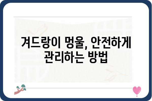 겨드랑이 멍울, 걱정되시나요? | 겨드랑이멍울 병원, 증상과 진료 정보