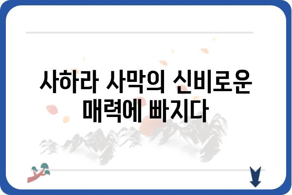 차드 | 아프리카의 보석, 매력적인 여행지 | 차드 여행, 아프리카 여행, 사하라 사막, 문화 체험