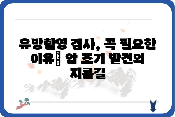 유방촬영 검사, 궁금한 모든 것| 종류, 준비, 결과 해석까지 | 유방암, 건강검진, 여성 건강