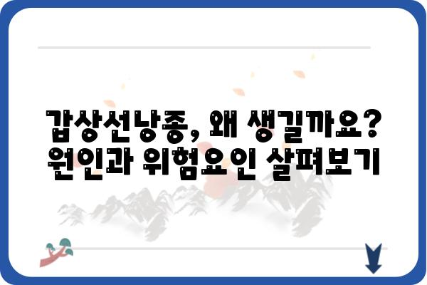 갑상선낭종, 궁금한 모든 것| 원인, 증상, 치료, 예방까지 | 갑상선, 낭종, 건강 정보, 질병