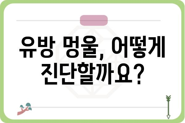 유방 멍울, 걱정되시나요? | 원인부터 진단까지, 알아야 할 모든 것