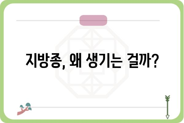 지방종, 혹시 나에게도? | 증상, 원인, 치료, 예방법 알아보기