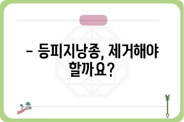 등피지낭종 제거, 안전하고 효과적인 방법 알아보기 | 등피지낭종, 제거, 치료, 주의사항