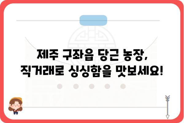 제주 구좌읍 당근 농장 직거래 정보 | 제주도, 당근, 농장, 직판, 싱싱