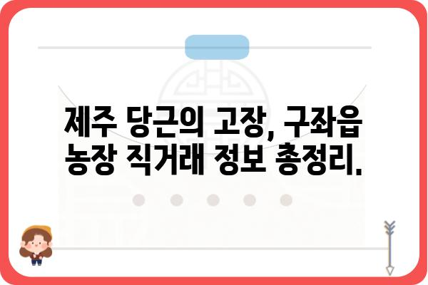 제주 구좌읍 당근 농장 직거래 정보 | 제주도, 당근, 농장, 직판, 싱싱