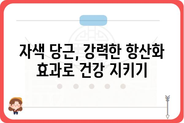 자색 당근의 놀라운 효능 7가지 | 건강, 항산화, 면역력, 피부, 눈 건강