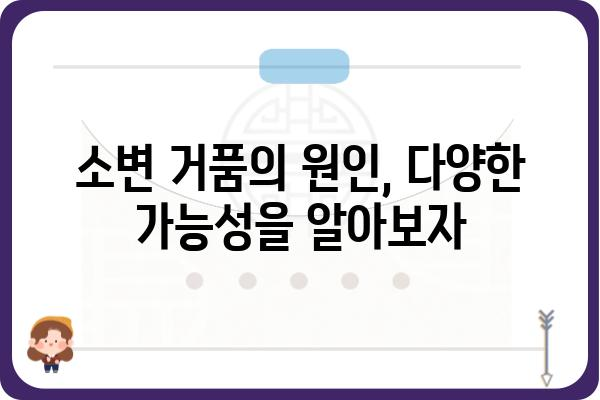 소변 거품, 걱정되시나요? 원인과 해결 방법 총정리 | 건강, 소변, 거품, 원인 분석, 해결 방안