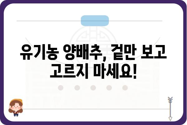 유기농 양배추 제대로 고르는 법| 싱싱함과 영양 가득한 선택 | 유기농 채소, 양배추 고르는 팁, 건강 식단