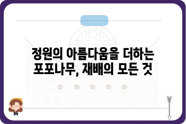 포포나무의 매력에 빠지다| 재배부터 활용까지 | 포포나무, 재배, 효능, 열매, 나무, 묘목