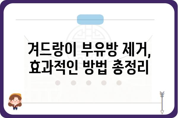 겨드랑이 부유방 제거, 효과적인 방법 총정리 | 부유방, 겨드랑이, 제거, 수술, 비수술, 관리