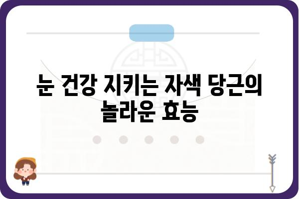 자색 당근의 놀라운 효능 7가지 | 면역력 강화, 항산화, 시력 보호, 혈관 건강