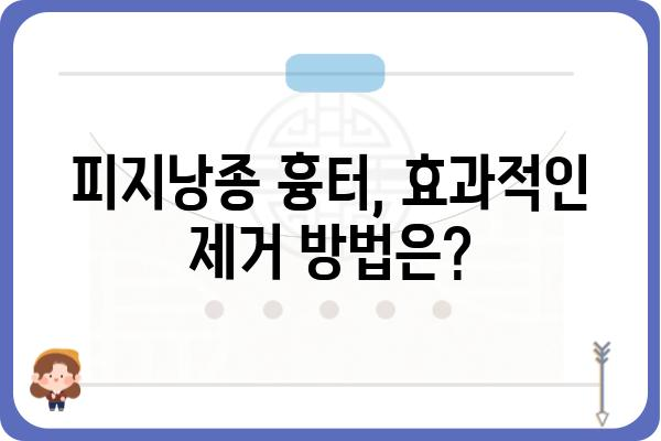 피지낭종 흉터 제거, 어떻게 해야 할까요? | 피지낭종, 흉터, 치료, 관리, 제거, 비용