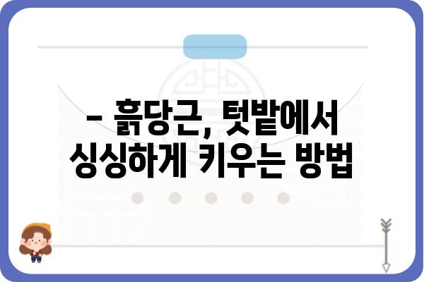 흙당근 재배, 맛과 영양을 한번에 잡는 꿀팁 | 텃밭, 유기농, 흙, 당근, 재배 방법, 팁