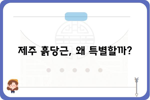 제주 흙당근의 매력, 제대로 알아보기 | 제주 특산물, 흙당근 효능, 맛집 추천