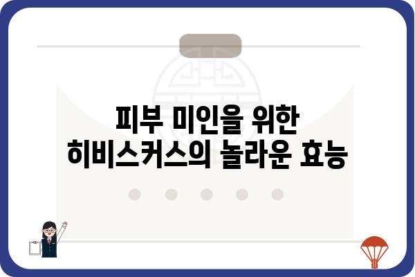 히비스커스의 놀라운 효능 7가지 | 건강, 다이어트, 피부, 차, 꽃, 효과, 부작용